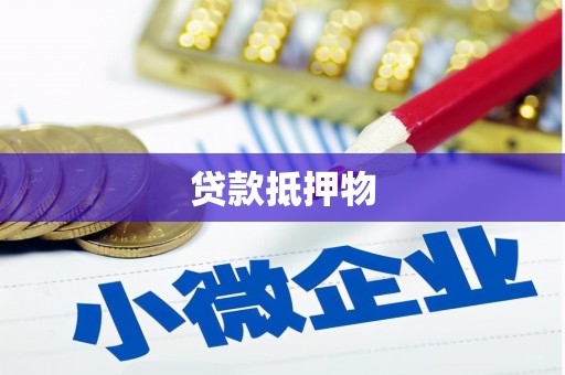 沿河贷款抵押物