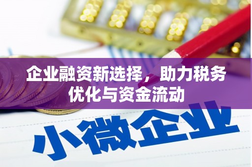 沿河企业融资新选择，助力税务优化与资金流动