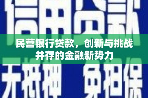 沿河民营银行贷款，创新与挑战并存的金融新势力