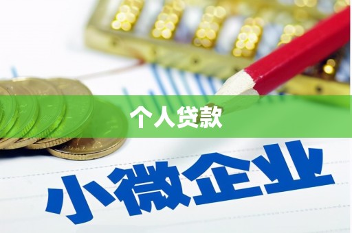 沿河个人贷款