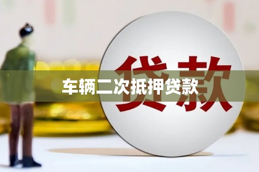 沿河车辆二次抵押贷款
