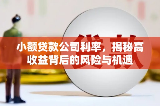沿河小额贷款公司利率，揭秘高收益背后的风险与机遇