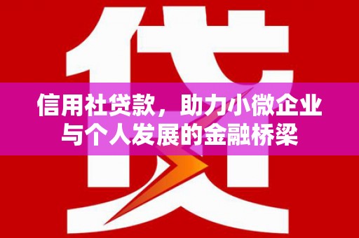 沿河信用社贷款，助力小微企业与个人发展的金融桥梁