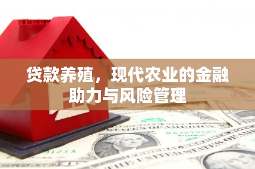 沿河贷款养殖，现代农业的金融助力与风险管理
