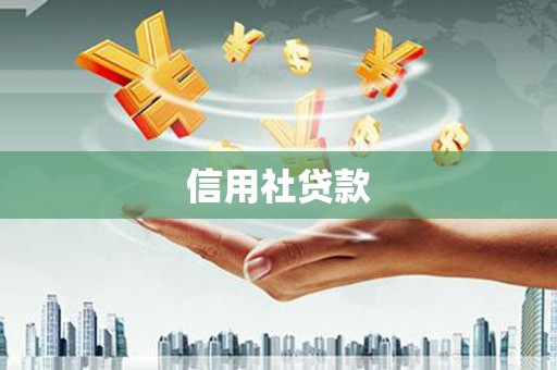 沿河信用社贷款