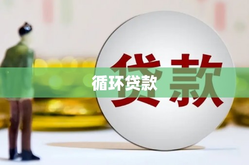 沿河循环贷款