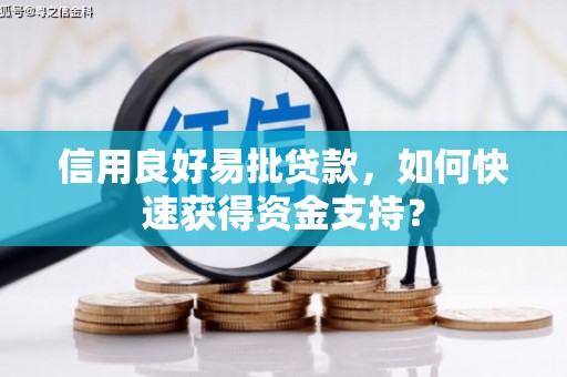 沿河信用良好易批贷款，如何快速获得资金支持？