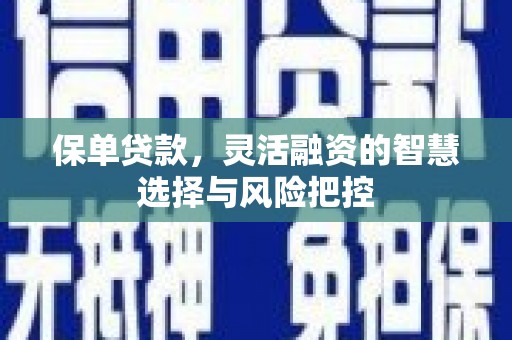 沿河保单贷款，灵活融资的智慧选择与风险把控