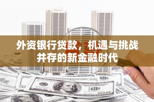 沿河外资银行贷款，机遇与挑战并存的新金融时代