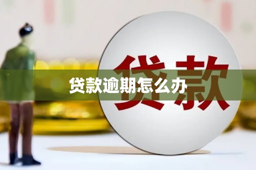 沿河贷款逾期怎么办