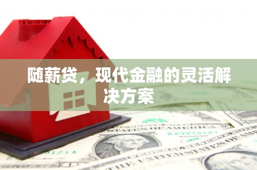 沿河随薪贷，现代金融的灵活解决方案