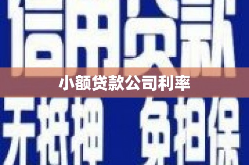 沿河小额贷款公司利率