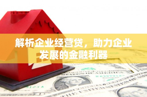 沿河解析企业经营贷，助力企业发展的金融利器