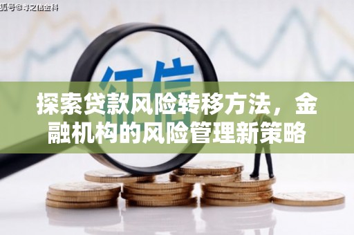 沿河探索贷款风险转移方法，金融机构的风险管理新策略