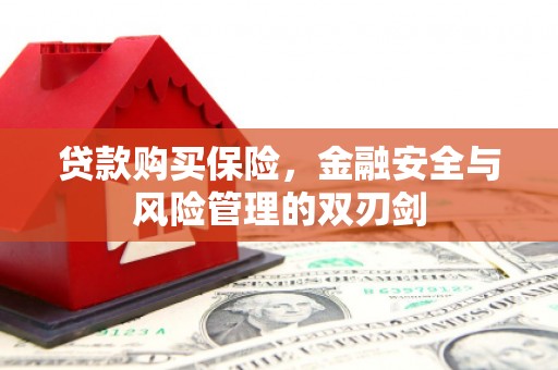 沿河贷款购买保险，金融安全与风险管理的双刃剑
