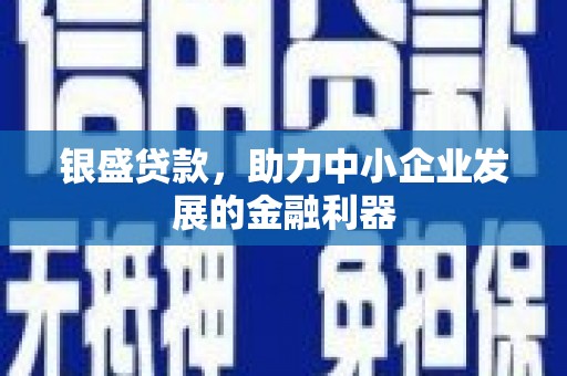 沿河银盛贷款，助力中小企业发展的金融利器
