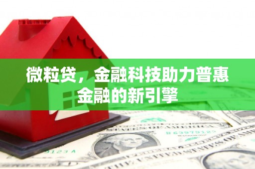 沿河微粒贷，金融科技助力普惠金融的新引擎