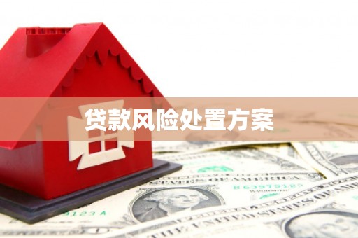 沿河贷款风险处置方案