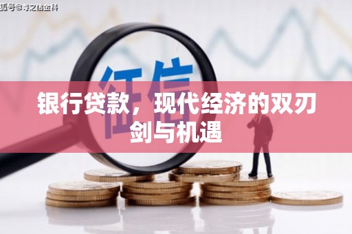 沿河银行贷款，现代经济的双刃剑与机遇