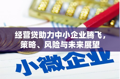 沿河经营贷助力中小企业腾飞，策略、风险与未来展望