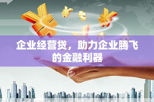 沿河企业经营贷，助力企业腾飞的金融利器