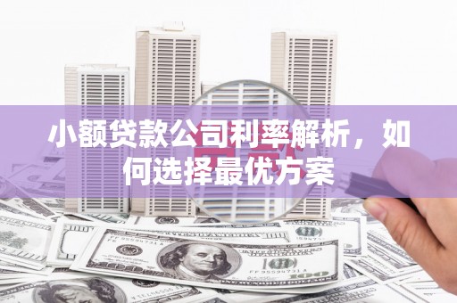 沿河小额贷款公司利率解析，如何选择最优方案