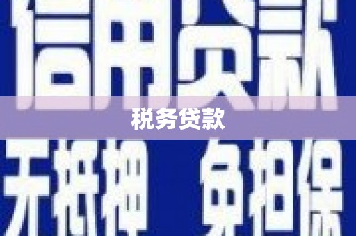 沿河税务贷款