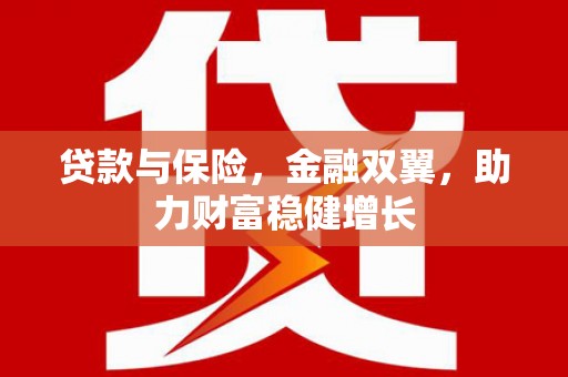 沿河贷款与保险，金融双翼，助力财富稳健增长