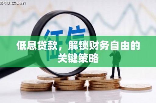沿河低息贷款，解锁财务自由的关键策略