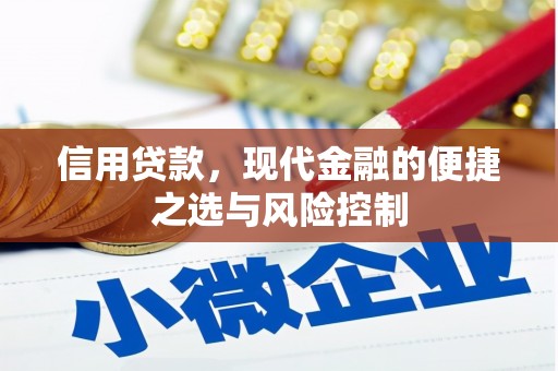 沿河信用贷款，现代金融的便捷之选与风险控制
