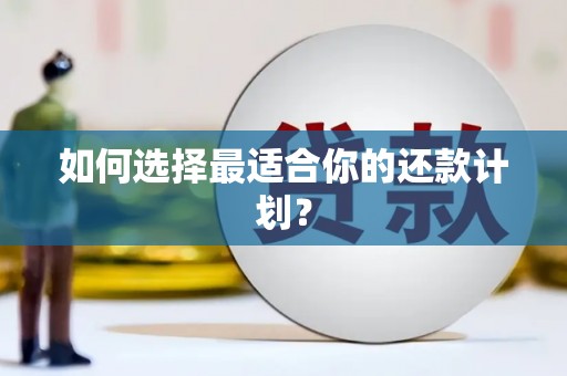 沿河如何选择最适合你的还款计划？