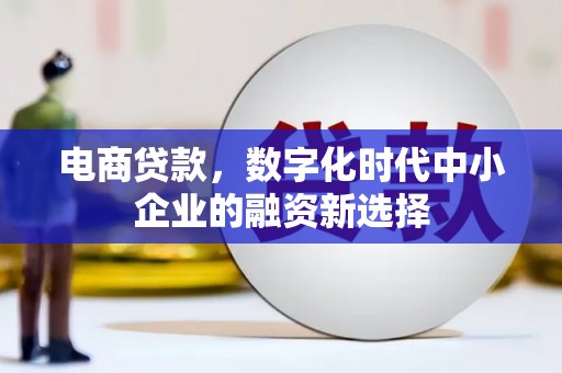 沿河电商贷款，数字化时代中小企业的融资新选择
