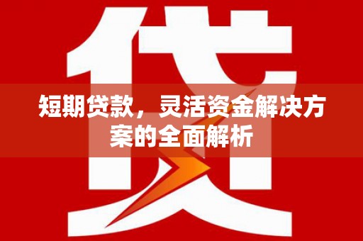 沿河短期贷款，灵活资金解决方案的全面解析