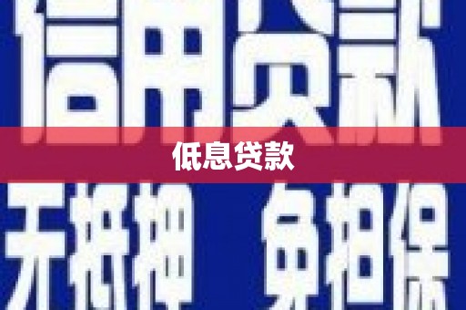 沿河低息贷款