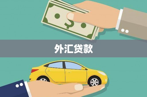 沿河外汇贷款