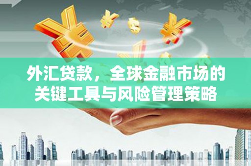 沿河外汇贷款，全球金融市场的关键工具与风险管理策略