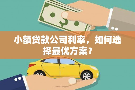 沿河小额贷款公司利率，如何选择最优方案？