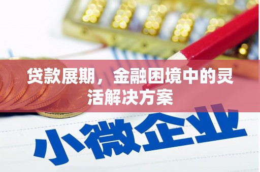 沿河贷款展期，金融困境中的灵活解决方案