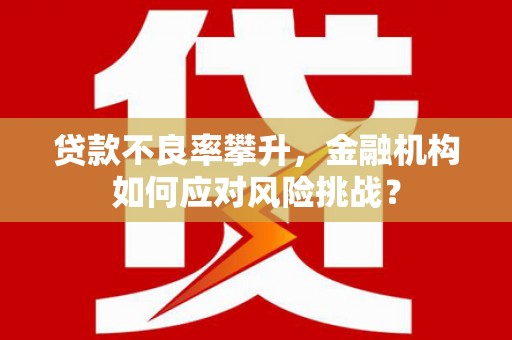 沿河贷款不良率攀升，金融机构如何应对风险挑战？