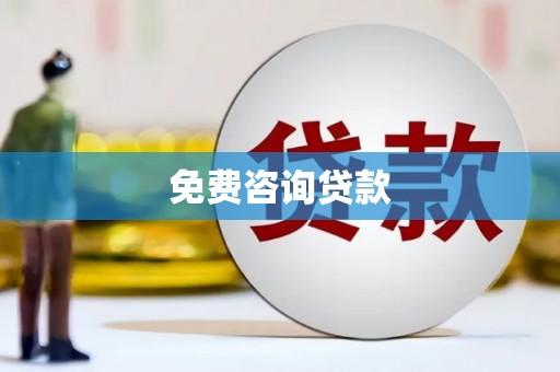 沿河免费咨询贷款