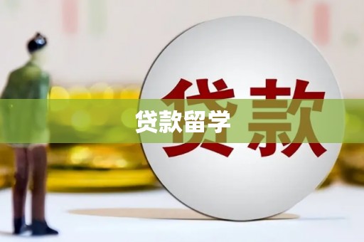 沿河贷款留学