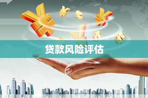 沿河贷款风险评估
