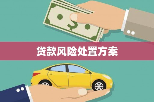 沿河贷款风险处置方案