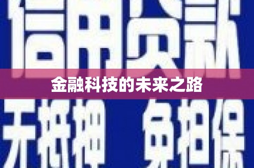 沿河金融科技的未来之路