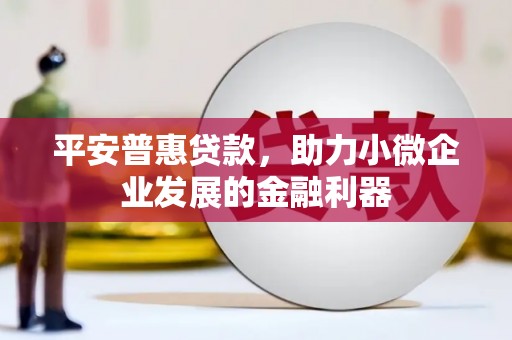 沿河平安普惠贷款，助力小微企业发展的金融利器