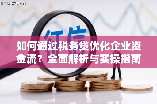 沿河如何通过税务贷优化企业资金流？全面解析与实操指南