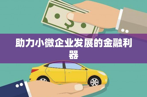 沿河助力小微企业发展的金融利器