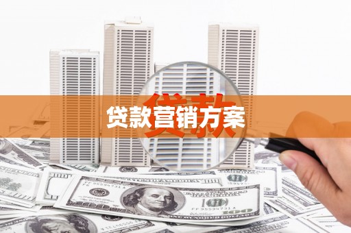 沿河贷款营销方案