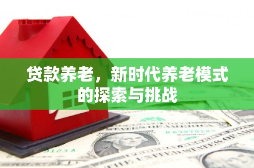 沿河贷款养老，新时代养老模式的探索与挑战