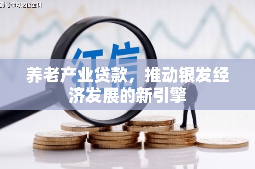 沿河养老产业贷款，推动银发经济发展的新引擎